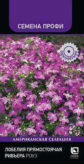Лобелия прямостоячая Ривьера Роуз, 10 шт. Семена профи