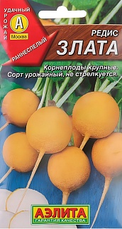 Редис Злата, 3 г