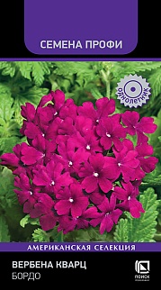 Вербена Кварц Бордо, 10 шт. Семена профи