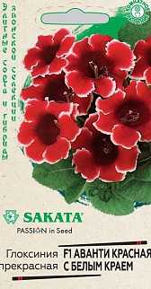 Глоксиния Аванти красная с белым краем F1, 5 шт. Гранулы. Эксклюзив.