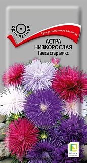 Астра низкорослая Тиеса стар микс, 0,2 г