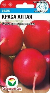 Редис Краса Алтая, 2 г. Сибирский сад