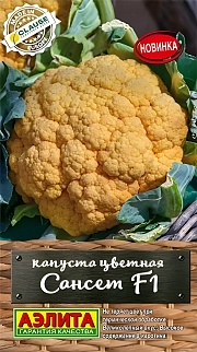 Капуста цветная Сансет F1, 5 шт.