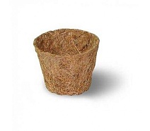 Кокосовый горшок Орехнин, 5 см