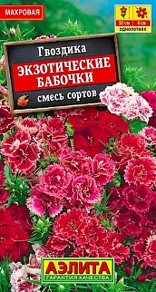 Гвоздика Экзотические бабочки, смесь, 0,1 г