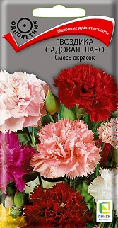 Гвоздика садовая Шабо Смесь окрасок, 0,3 г