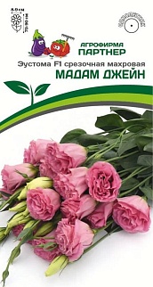 Эустома Мадам Джейн F1, 5 шт. Агрофирма Партнер.