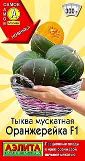 Тыква мускатная Оранжерейка F1, 5 шт.