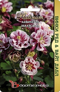 Аквилегия Винки Ред & Вайт Дабл, 10 шт. Platinum Биотехника