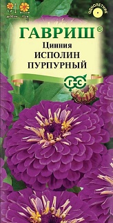 Цинния Исполин пурпурный, 0,3 г 
