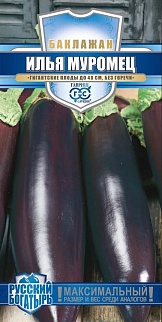 Баклажан Илья Муромец, 0,1 г. Русский богатырь.