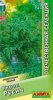 Укроп Русич, 2 г