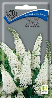 Буддлея Давида Белые кисти, 0,01 г