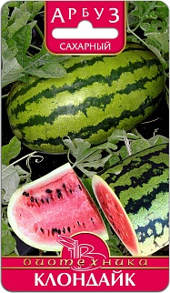 Арбуз Клондайк, 6 шт. Биотехника.