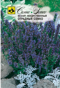 Иссоп Отрадный Семко, 0,2 г