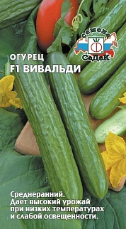 Огурец Вивальди F1, 5 шт.