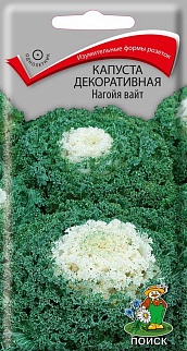 Капуста декоративная Нагойя вайт, 10 шт.