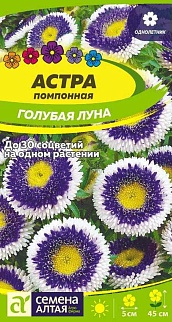 Астра Голубая Луна помпонная, 0,15 г