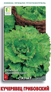 Салат Кучерявец Грибовский, 1 г