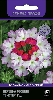 Вербена Обсешн Твистер Ред, 10 шт. Семена профи