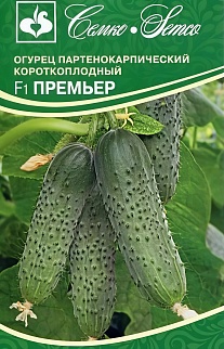 Огурец Премьер F1, 5 шт.