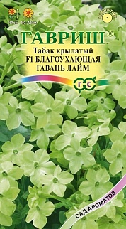 Табак душистый F1 Благоухающая гавань лайм, 4 шт. Сад ароматов.