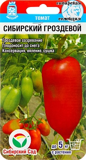 Томат Сибирский гроздевой, 20 шт. Сибирский сад
