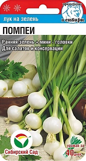 Лук на зелень Помпеи, 0,5 г 