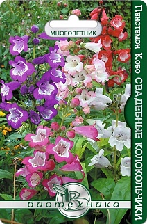 Пенстемон Кобо Свадебные колокольчики, смесь расцветок, 20 шт. Биотехника