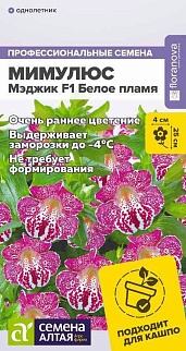 Мимулюс Мэджик Белое пламя, 10 шт.