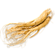 Овсяный корень