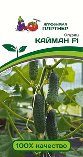 Огурец Кайман F1, 10 шт. Агрофирма Партнер.