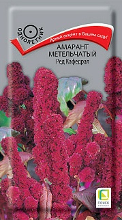 Амарант метельчатый Ред Кафедрал, 0,1 г