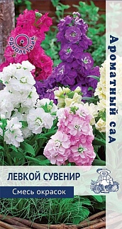 Левкой Сувенир смесь окрасок, 10 шт. Ароматный сад