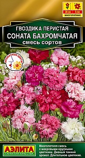 Гвоздика Соната бахромчатая, смесь сортов, 0,1 г