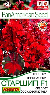 Лобелия Старшип F1 Скарлет бронзоволистная, 5 шт.