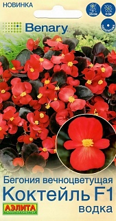 Бегония вечноцветущая Коктейль F1 водка, 7 шт.