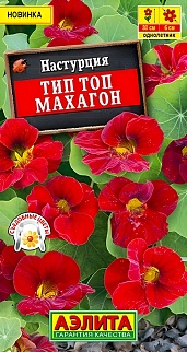 Настурция Тип топ махагон, 5 шт.