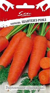 Морковь Шантенэ Роял, 2 г  Русский огород