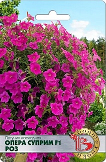 Петуния каскадная Опера Суприм F1 Роз, 5 шт. Биотехника