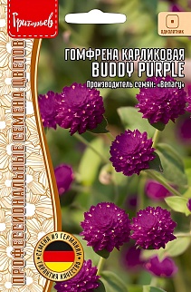 Гомфрена Buddy Purple, карликовая,  5 шт.