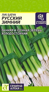 Лук Батун Русский Зимний, 0,5 г