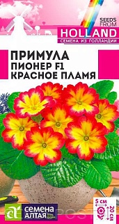 Примула Пионер Красное пламя, 5 шт. (Голландские семена)