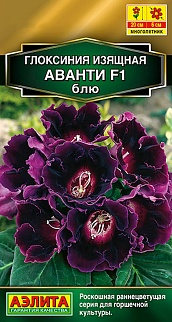Глоксиния Аванти F1 блю, 5 шт.