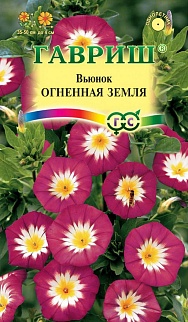 Вьюнок трехцветный Огненная земля, 0,5 г