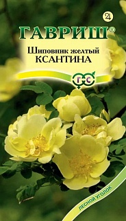Шиповник желтый Ксантина, 0,1 г. Лесной уголок.