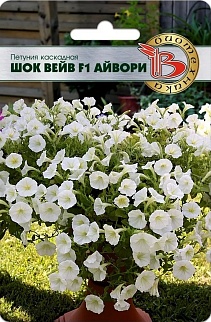 Петуния каскадная Шок Вейв F1 Айвори, 5 шт. Биотехника