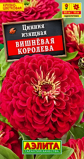 Цинния изящная Вишнёвая королева, 0,3 г