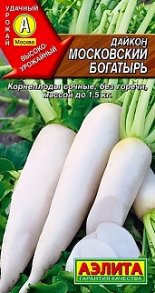 Дайкон Московский богатырь, 1 г