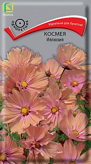 Космея Иллюзия, 10 шт.